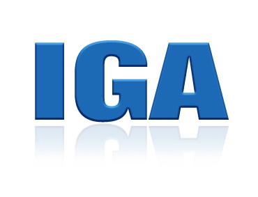 Gartner IGA Magic Quadrant Revealed