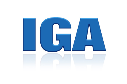 Gartner IGA Magic Quadrant Revealed