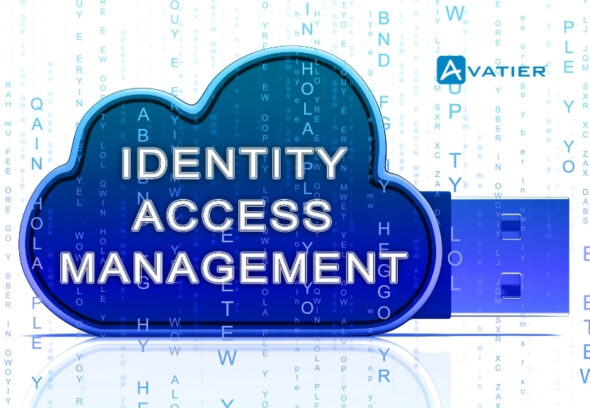 Maximizing Data Security and Compliance with IAM: The Power of Leveraging